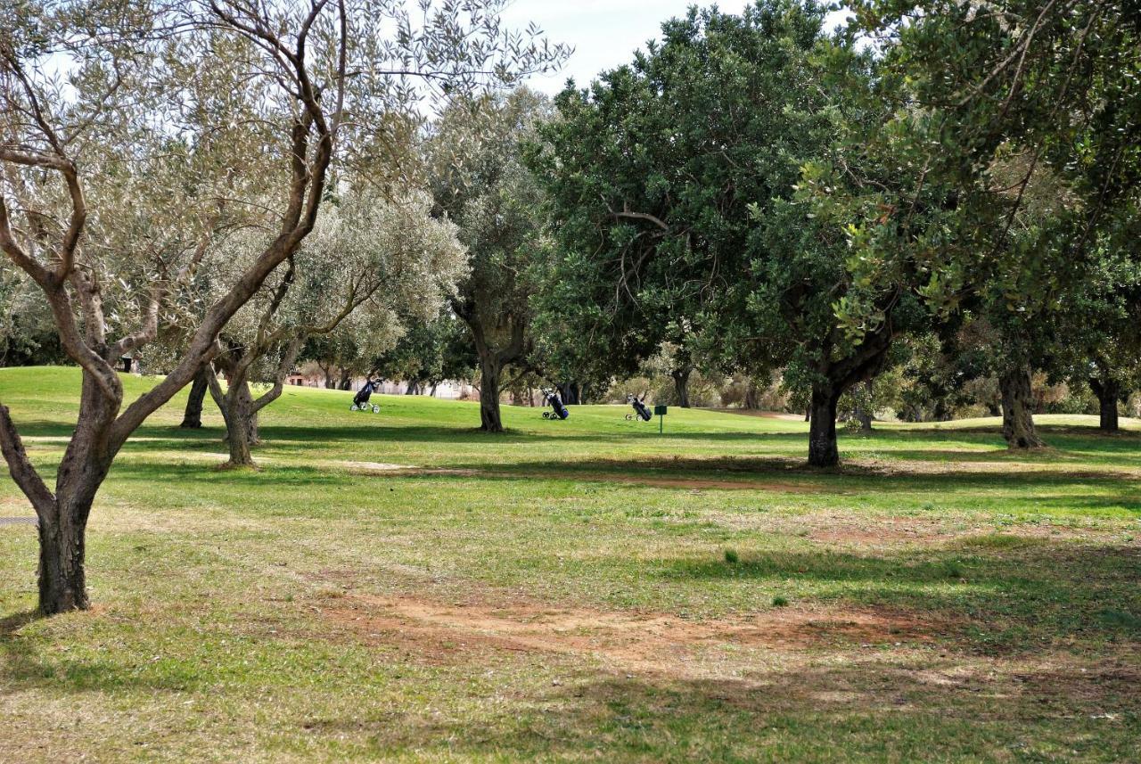 Chalet Adosado De Lujo Para 6 Personas En Golf Panoramica - Internet Fibra Gratis San Jorge  Zewnętrze zdjęcie